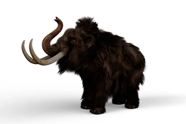 Woolly Mammoth Trumpeting Relative Elephant Which Lived Last Ice Age — Stock Photo, Image