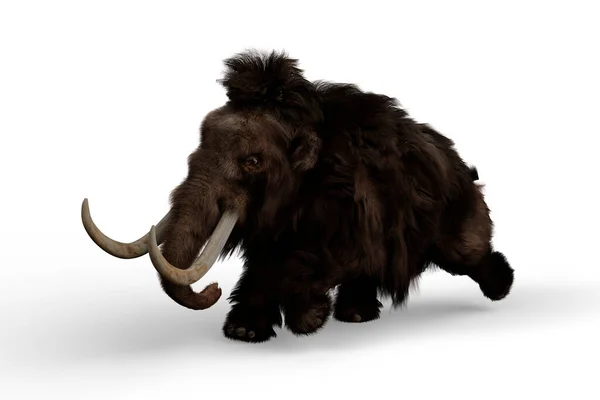 Woolly Mammoth Charging Relative Elephant Which Lived Last Ice Age — Stock Photo, Image