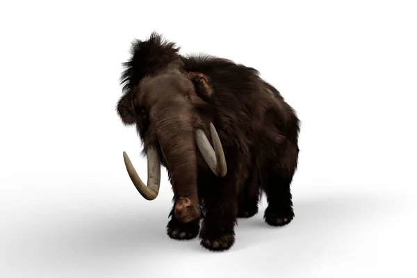 Woolly Mammoth Het Uitgestorven Familielid Van Olifant Die Leefde Laatste — Stockfoto
