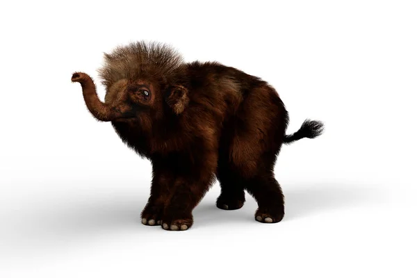 Woolly Mammoth Aproximar Com Tronco Ilustração Isolada Sobre Fundo Branco — Fotografia de Stock