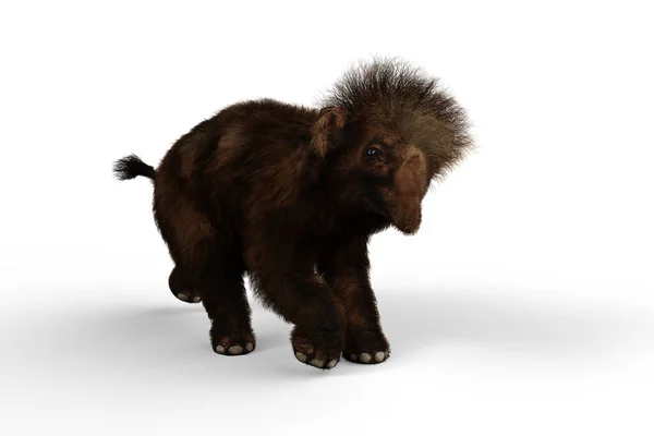 Woolly Mammoth Baby Running Extinct Relative Elephant Which Lived Last — Stock Photo, Image