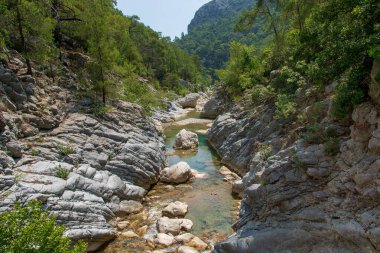 Yürüyüş yolu olan bir kanyon. Dağ nehri. Lycian 'ın dağ sırasındaki patikasının bir parçası.