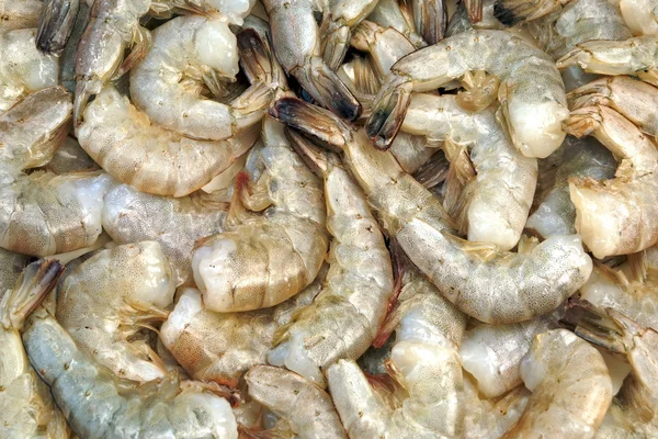 Muchos crudo verde rey tamaño camarones sobre fondo blanco — Foto de Stock