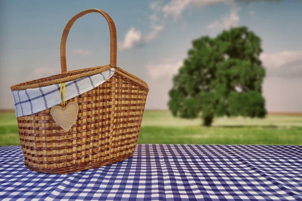 Корзина для пикника на голубой клетчатой скатерти и летний пейзаж — стоковое фото