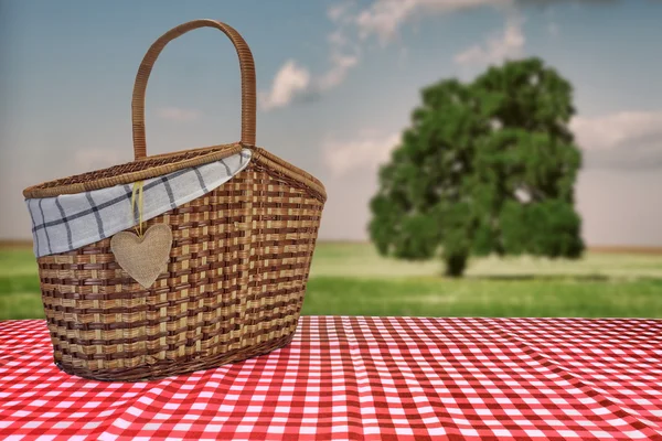 Cesta de picnic en el mantel a cuadros rojo y Landsca de verano — Foto de Stock