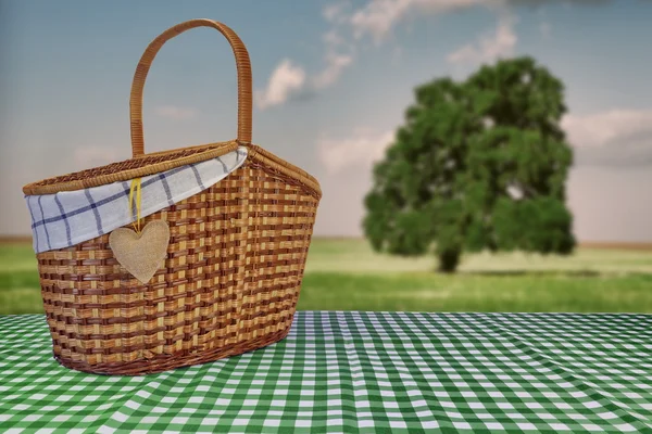 Picknickkorg på den gröna rutigt bordsduk och sommar landar — Stockfoto