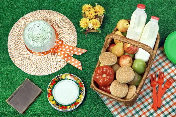 Summer Picnic Scene On The Fresh Lawn — Stock Photo, Image