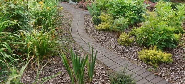 Backyard Garden Modern Design Landscaping Decorative Garden Winding Pathway Walkway — Stock Photo, Image