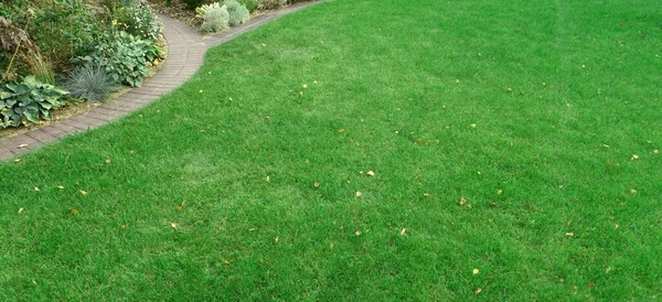 Backyard Garden Modern Design Landscaping Landscaped Decorative Garden Winding Pathway — Stock Photo, Image