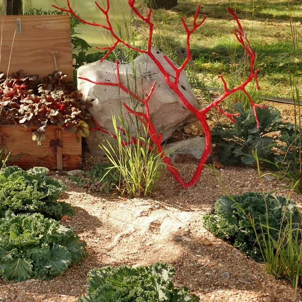 Backyard Garden Japanese Style Landscaping Stone Plants Neat Designed Zen — Stock Photo, Image