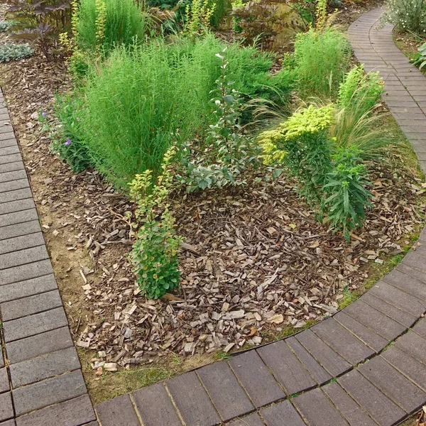 Achtertuin Tuin Modern Design Landscaping Decoratieve Tuin Winding Pathway Walkway — Stockfoto