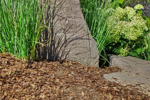 裏庭の庭近代的な造園 装飾的な庭のデザイン 裏庭芝生と草と植物の間の自然マルチボーダー — ストック写真