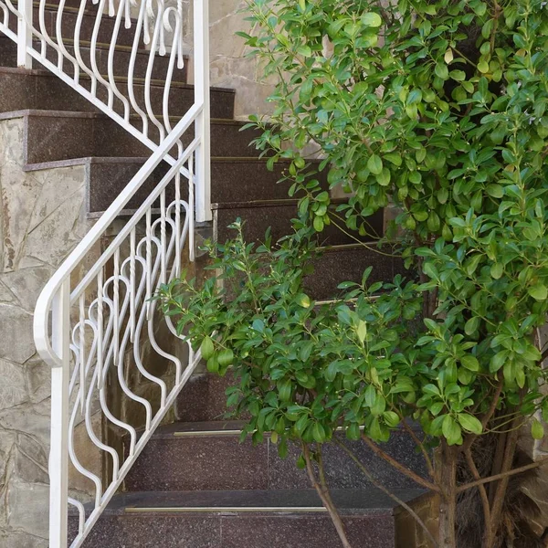 Escalier Angle Escalier Marbre Extérieur Avec Balustrade Métal Escalier Classique — Photo