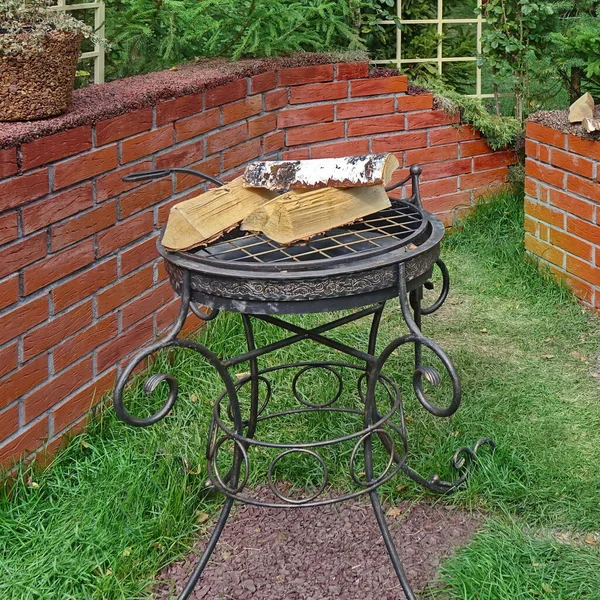 Grill Fireplace Landscaped Garden Family Private Corner Modern Backyard Bbq — Stock Photo, Image