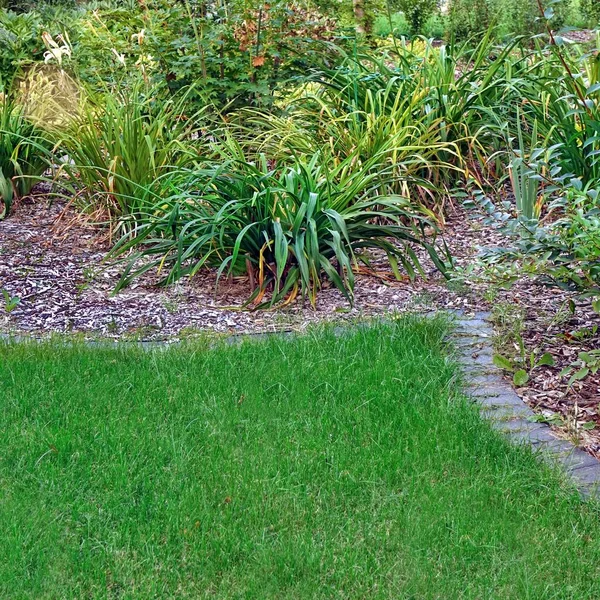 Backyard Garden Modern Design Landscaping Decorative Garden Winding Pathway Walkway — Stock Photo, Image