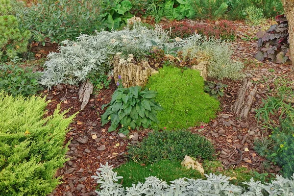 Giardino Sul Retro Paesaggio Moderno Progettazione Giardino Decorativo Prato Cortile — Foto Stock