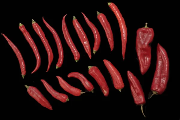 Изолированная Коллекция Перцев Разнообразные Red Hot Chili Cayenne Другие Перцы — стоковое фото