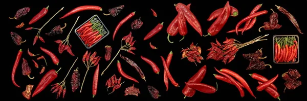 Collection Poivrons Isolés Diverses Red Hot Chili Cayenne Autres Poivrons — Photo