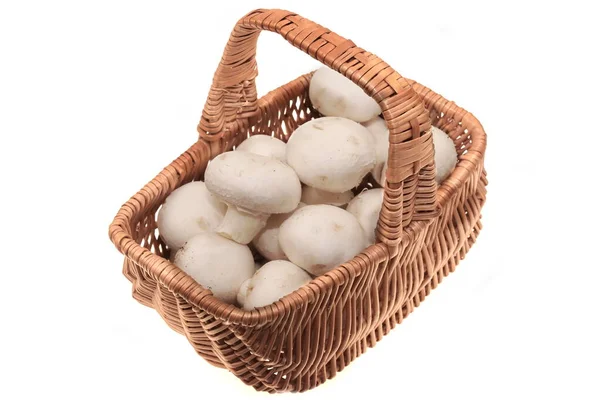 White Champignon Mushroom Wicker Basket Isolated White Background Top View — стокове фото