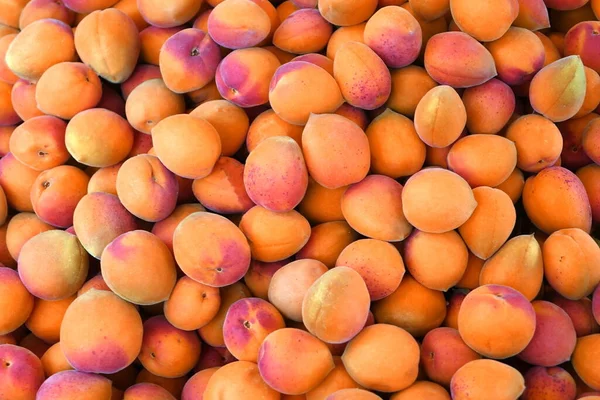 Abrikozen Achtergrond Textuur Bovenaanzicht Geel Oranje Rood Apricot Achtergrond Wallpaper — Stockfoto