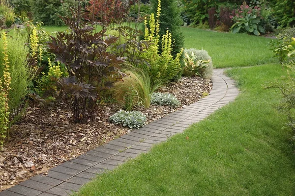 Backyard Garden Modern Design Landschaftsplanung Dekorative Garten Winding Pathway Gehweg — Stockfoto