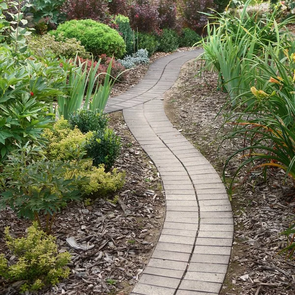 Backyard Garden Modern Design Landschaftsplanung Dekorative Garten Winding Pathway Gehweg — Stockfoto