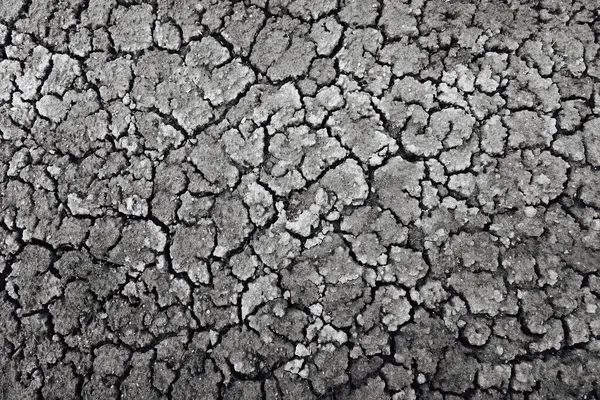 Black Dry Earth Background Texture — Stock Photo, Image