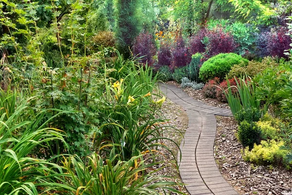 Backyard Garden Modern Design Landscaping Decorative Garden Winding Pathway Walkway — Stock Photo, Image