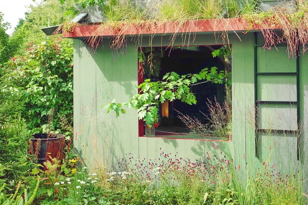 Zomer Kleine Houten Huis Hut Schuur Familiestamboom Huis Aan Buitenkant — Stockfoto