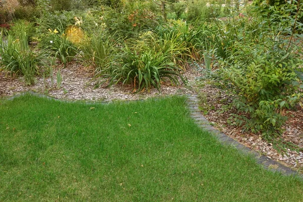 Backyard Garden Modern Design Landscaping Decorative Garden Winding Pathway Walkway — Stock Photo, Image
