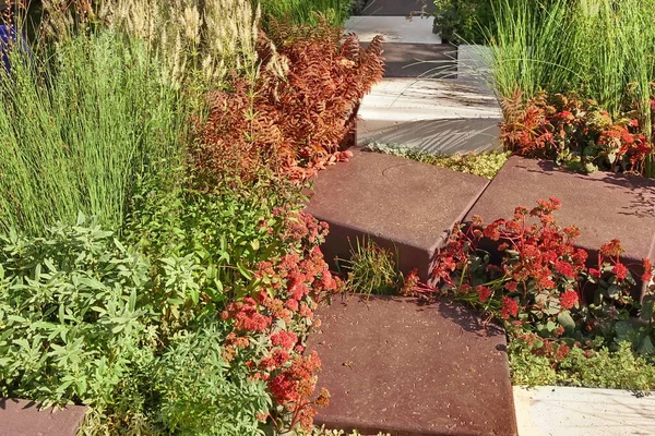 Landscaped Garden Walkway Decorative Large Concrete Block Tiles Chaotic Backyard — Stock Photo, Image