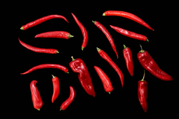 Coleção Pimentas Isoladas Vários Red Hot Chili Cayenne Outros Pimentas — Fotografia de Stock