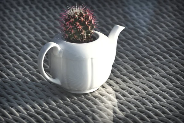 White Teapot Cactus Flower Wicker Table Glass Surface — Stock Photo, Image