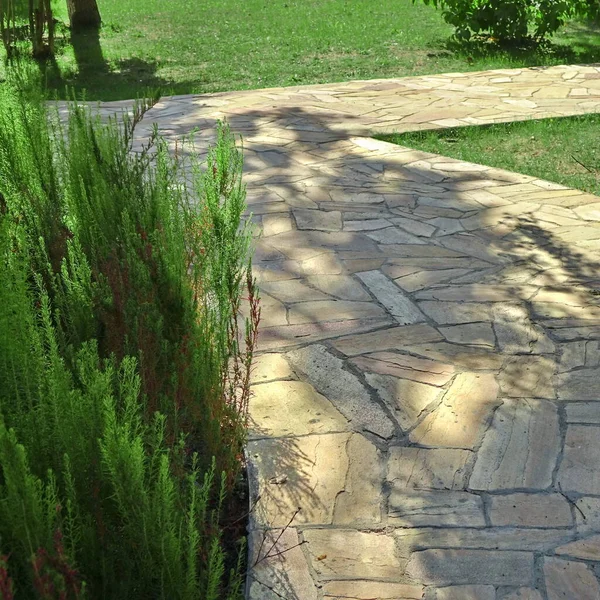 タイル石灰岩から舗装と庭の造園 裏庭の庭は タイルの石のスラブから歩道を日陰 園内の石畳の道 公園内の石のタイルからの日陰の道 — ストック写真