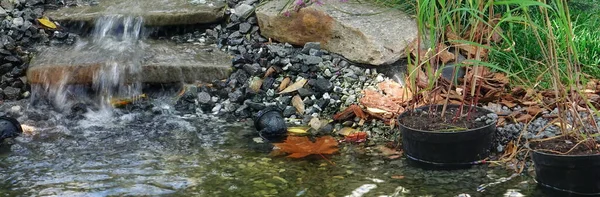 Étang Décoratif Petit Lac Sur Jardin Arrière Cour Avec Cascade — Photo