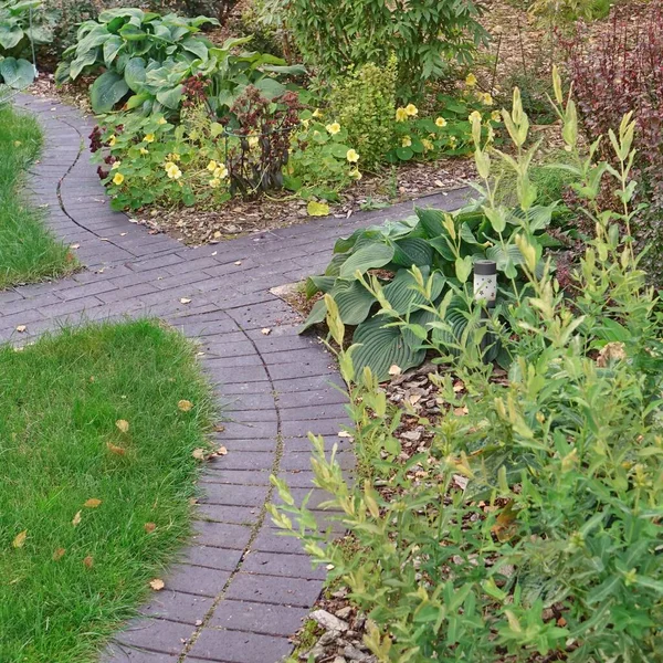 Achtertuin Tuin Modern Design Landscaping Decoratieve Tuin Winding Pathway Walkway — Stockfoto