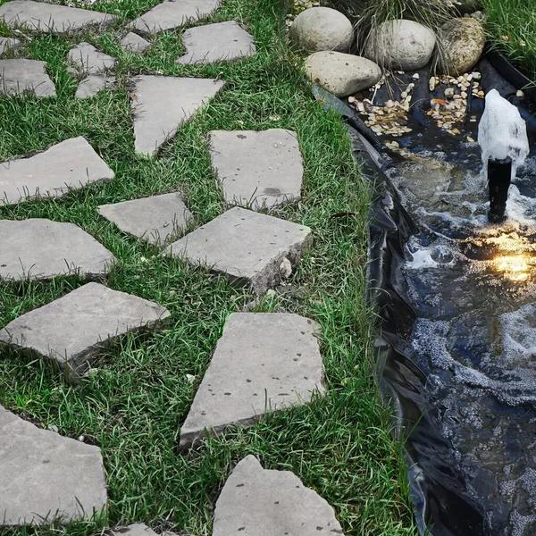 人工聚氯乙烯池塘在花园与灯笼和喷泉 设计花园内的小装饰池塘或溪流 后院里由聚氯乙烯制成的水面 — 图库照片