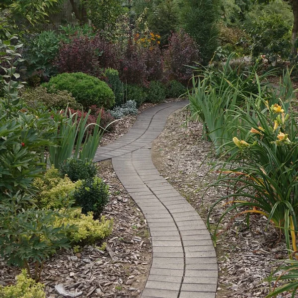 Achtertuin Tuin Modern Design Landscaping Decoratieve Tuin Winding Pathway Walkway — Stockfoto
