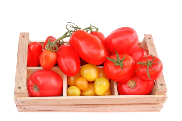 Tomates multicolores en caja de madera — Foto de Stock