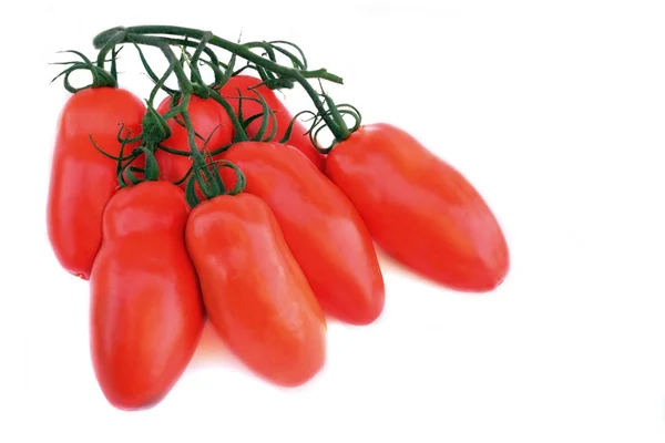 Dlouho čerstvé rajče — Stock fotografie