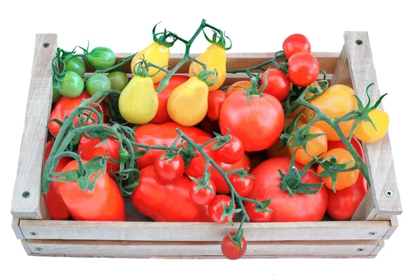 Tomates multicolores dans une boîte en bois — Photo