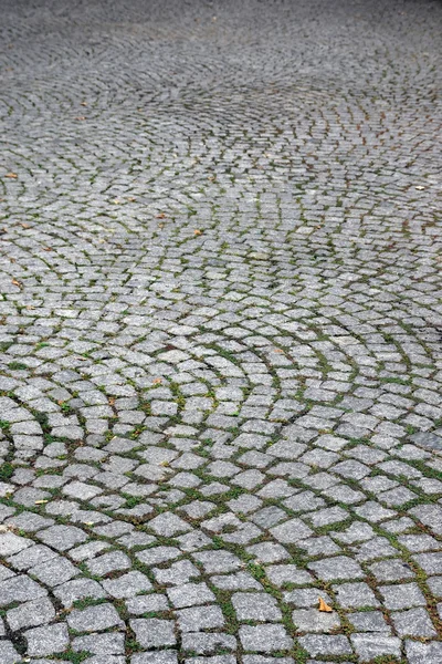 Cobblestone Way — Stock Photo, Image