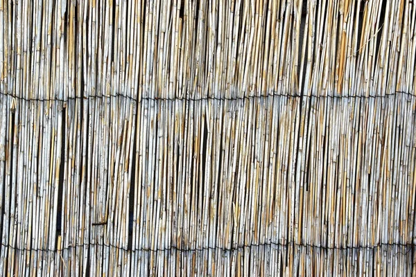 Bambusgjerde – stockfoto