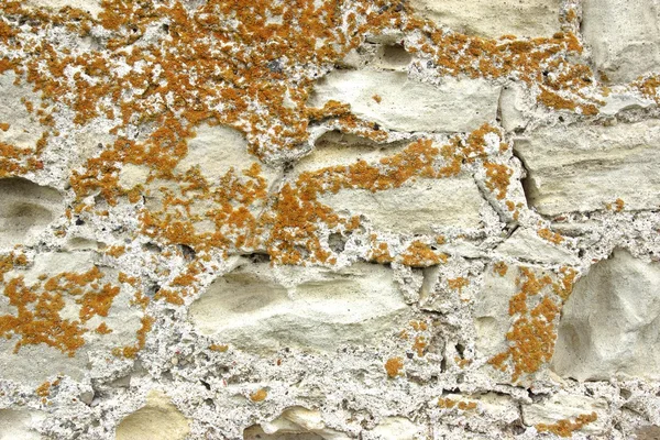 Moss op de oude witte stenen muur — Stockfoto