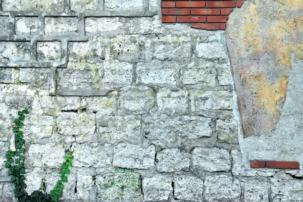 Wall with Damaged Plaster — Stock Photo, Image