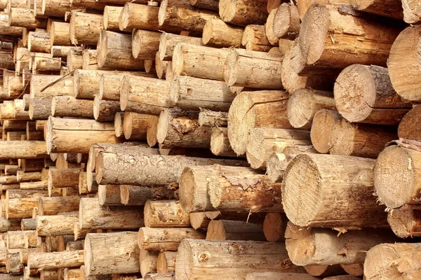 Woodpile dari kayu bertumpuk — Stok Foto