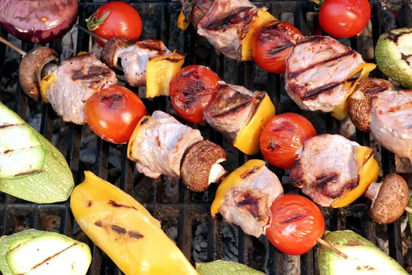 Shish Kabobs på grillen close-up - Stock-foto