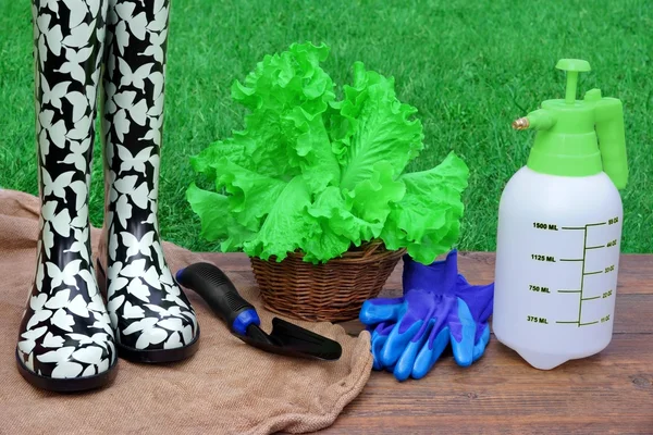 Concepto de Jardinería —  Fotos de Stock