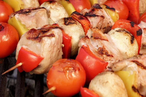 Míchané maso a zeleninu kebab na horký gril Bbq — Stock fotografie