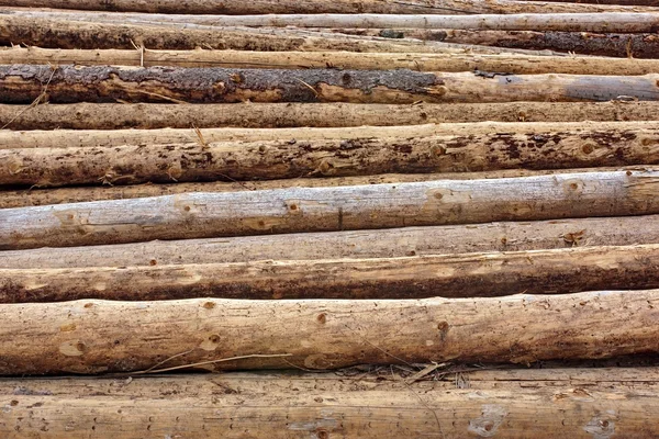 Большая деревянная глыба из бревен — стоковое фото